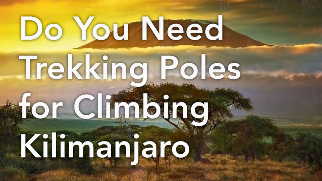 Trekking Poles on Kilimanjaro